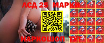 гидропоника Кумертау