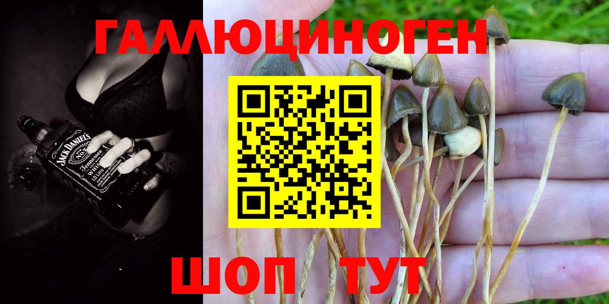 Псилоцибиновые грибы мухоморы Гулькевичи