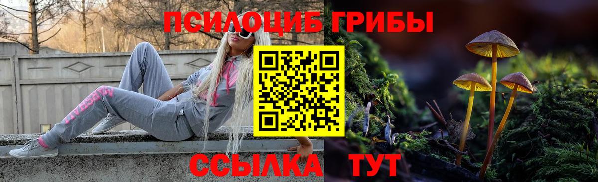Псилоцибиновые грибы Psilocybe  Вход с VPN  Гулькевичи 
